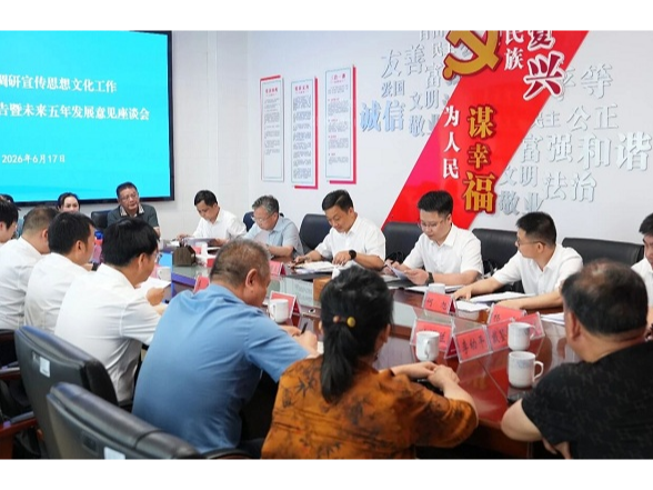 吴国良到宣传思想文化系统调研并征集区党代会报告暨未来五年发展意见