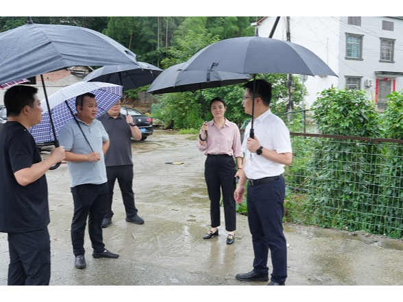 綦小广调度陆城镇应对强降雨天气工作暨巡视交办件办理情况