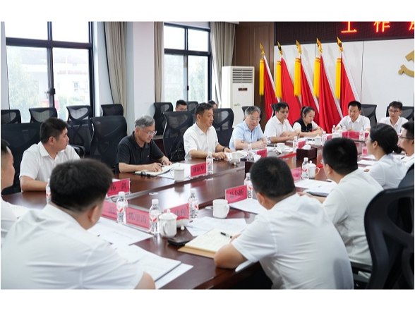 吴国良调研路口镇工作