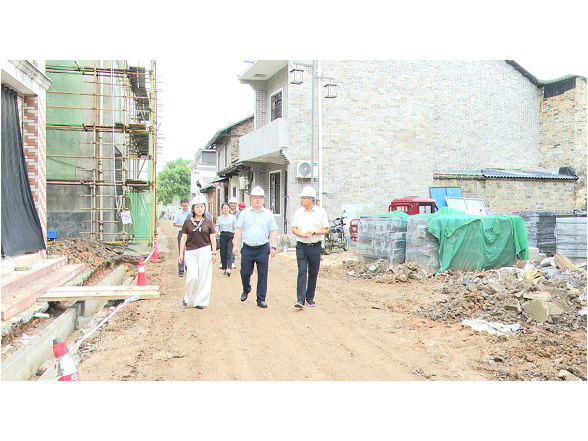 张佳奇调度陆城镇防汛防台风工作
