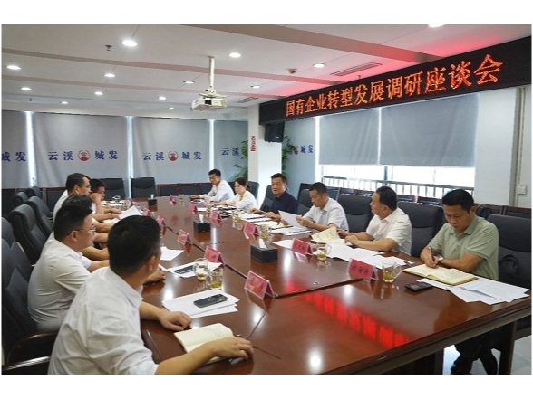 吴国良调研国有企业转型发展工作