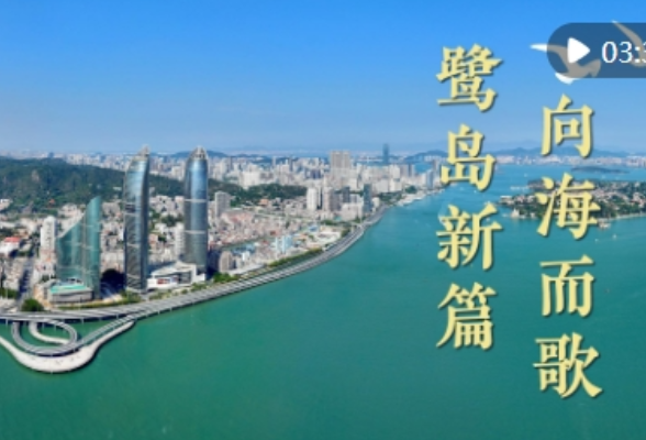 微视频｜鹭岛新篇 向海而歌