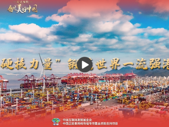 【牢记嘱托·看见美好中国】“硬核力量”锻造世界一流强港