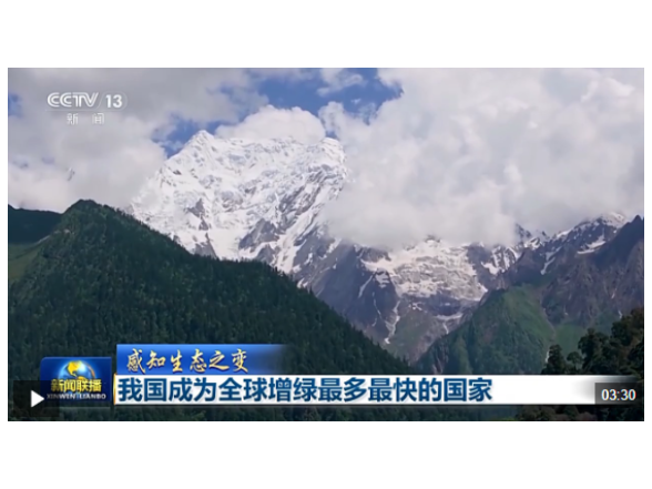 感知生态之变丨我国成为全球增绿最多最快的国家