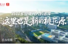 3500多位澳门人的选择——“这里也是新的桃花源”