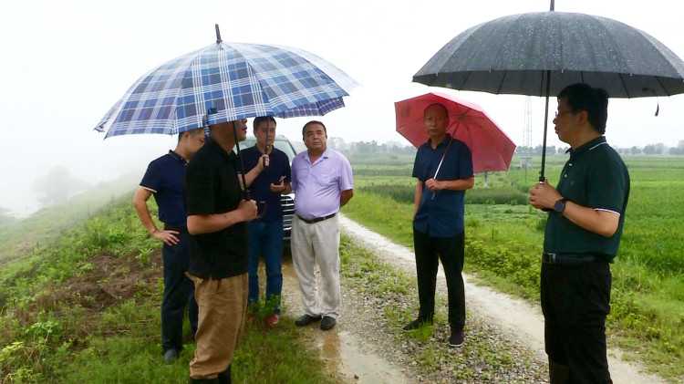 汪年生督导防汛抗灾工作 _时政要闻_临澧新闻网