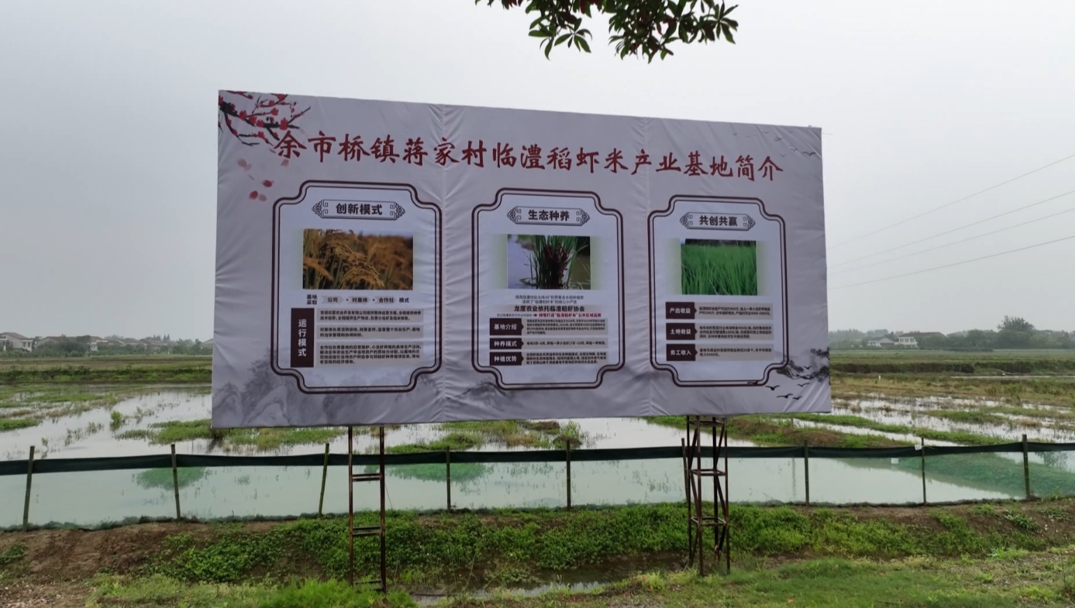 微信图片_20230512095654.png