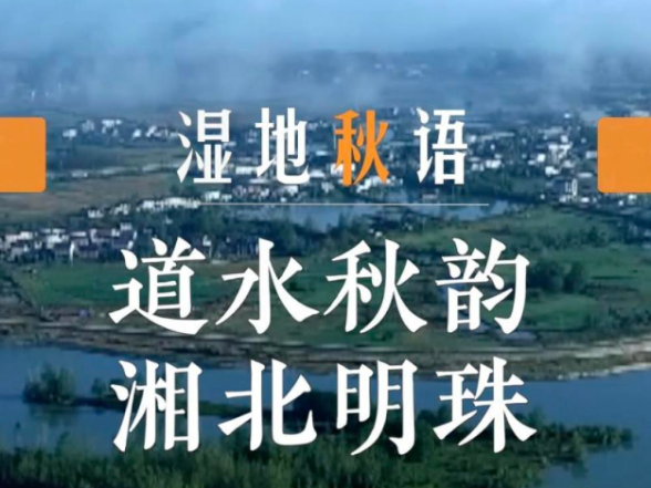 湿地秋语｜道水秋韵 湘北明珠