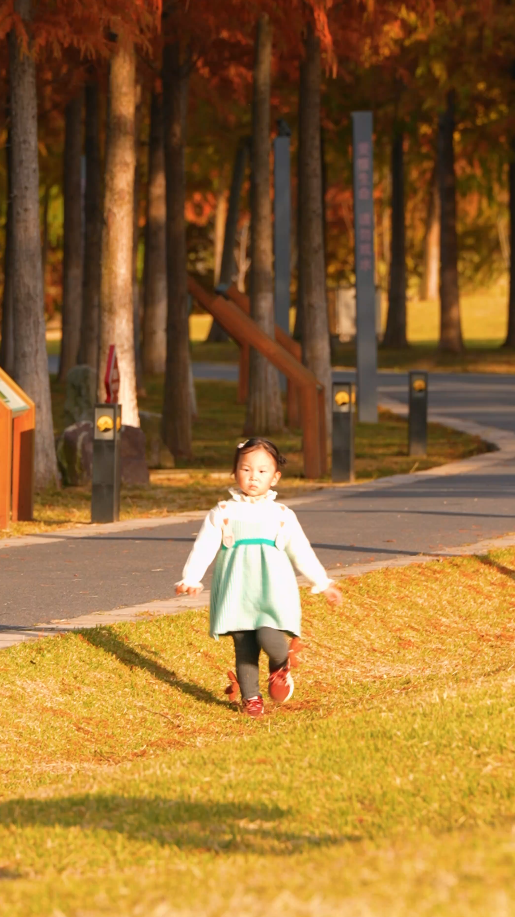 喜欢拍照打卡的朋友们，是时候带上相机到安福烟花公园走走，随手举起相机、拿起手机，聚焦给红杉树拍组“写真”。