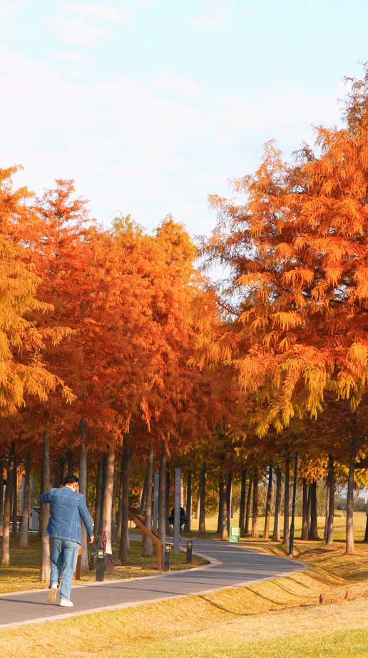脚步轻移间，竟让人有种穿越进绝美油画的错觉。