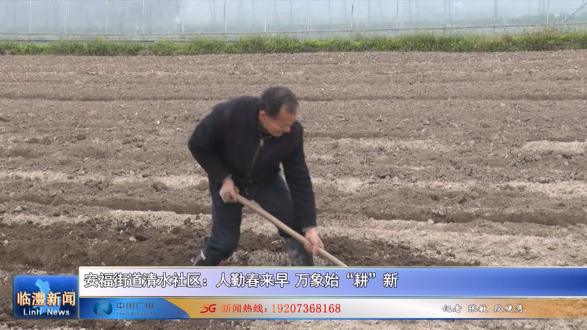 安福街道清水社区：人勤春来早 万象始“耕”新