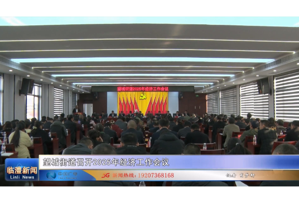 望城街道召开2025年经济工作会议