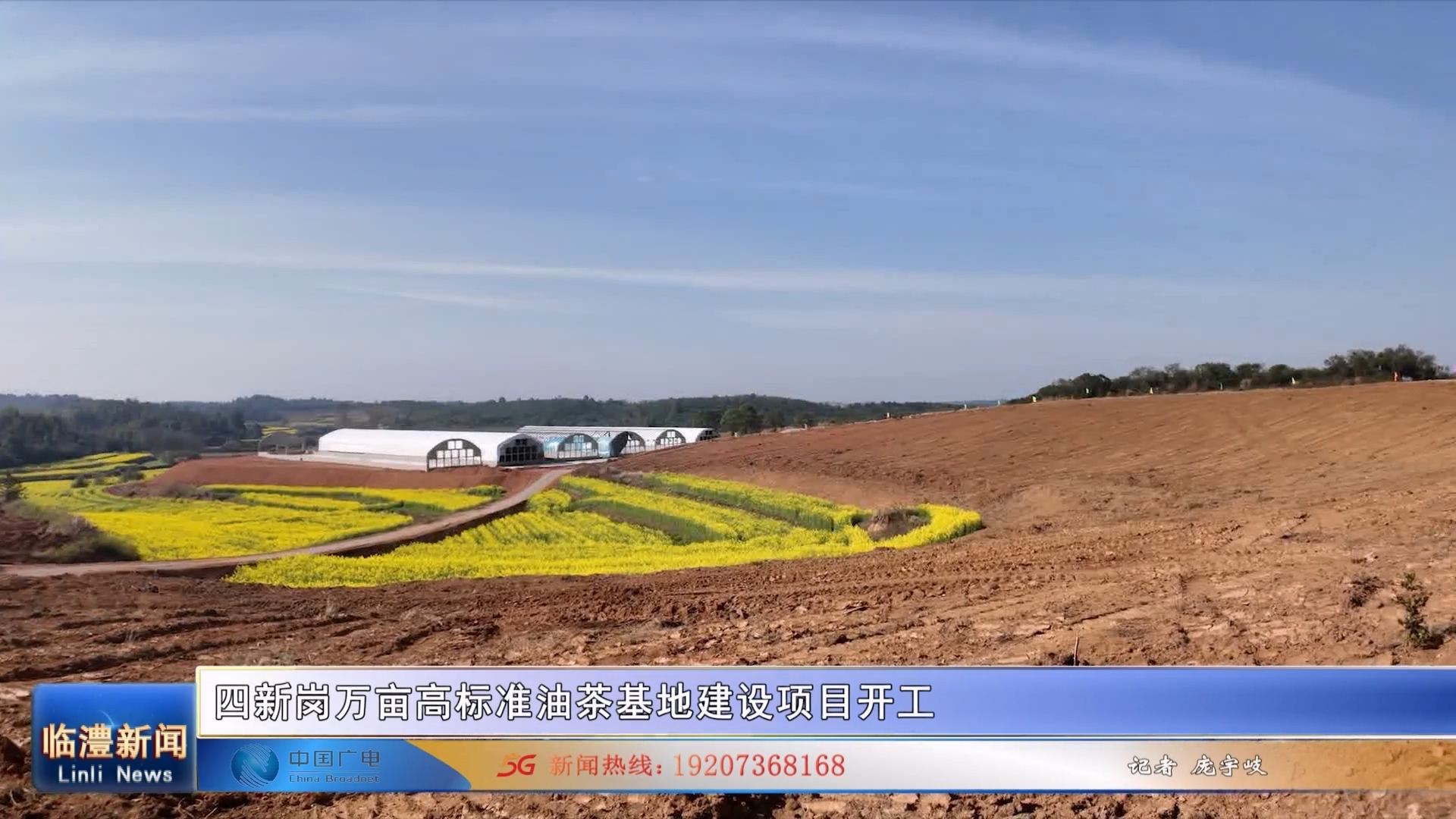 四新岗万亩高标准油茶基地建设项目开工
