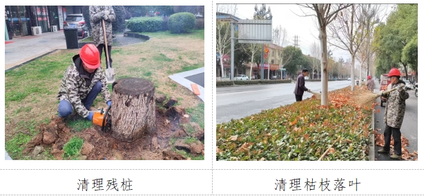 微信截图_20250303151050.png