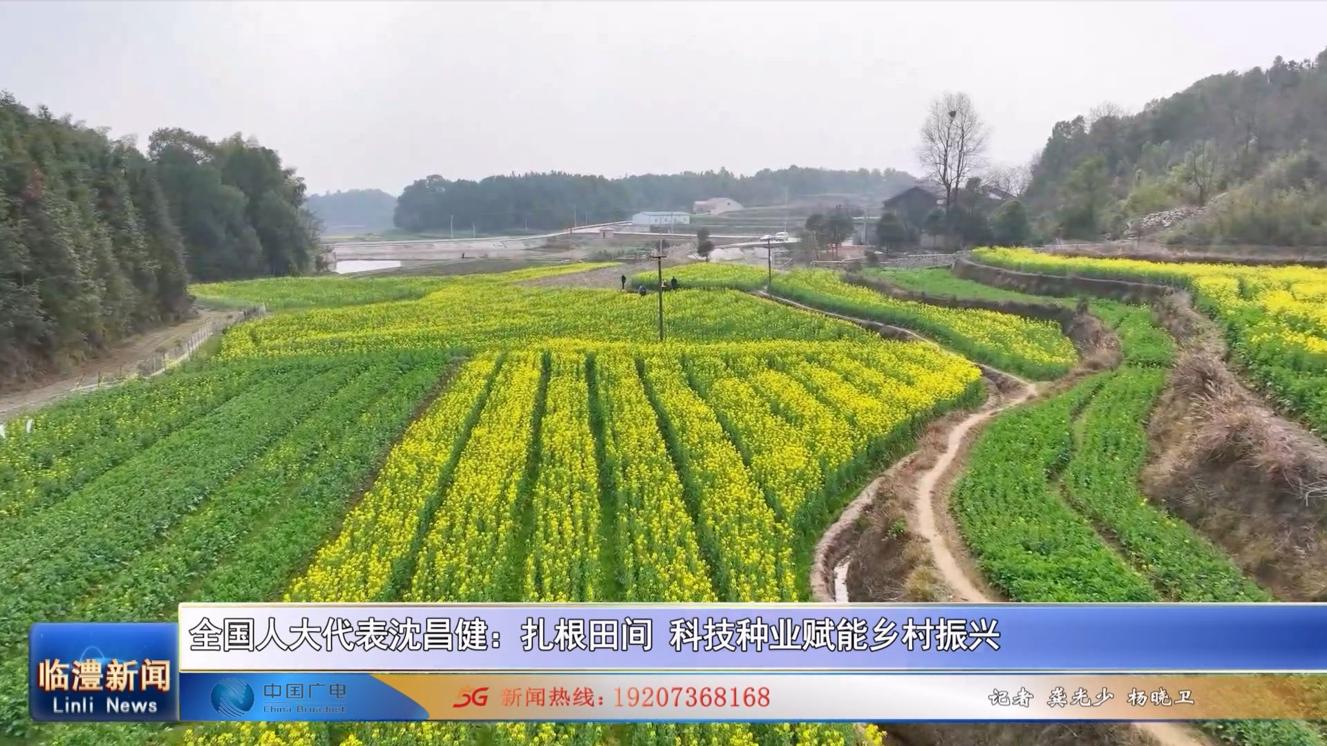全国人大代表沈昌健：扎根田间 科技种业赋能乡村振兴