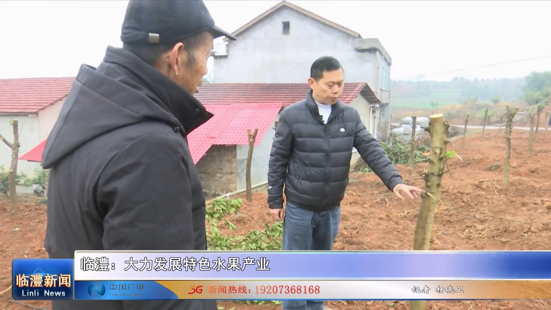 临澧：大力发展特色水果产业