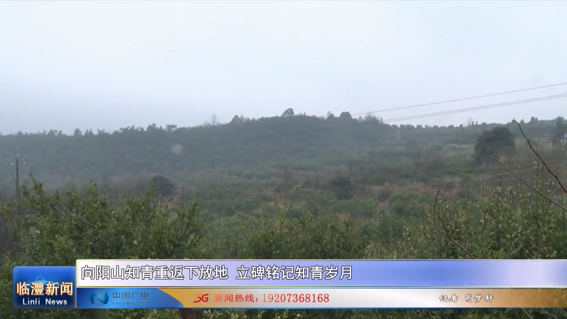向阳山知青重返下放地 立碑铭记知青岁月