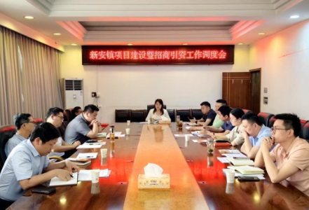 新安镇召开项目建设暨招商引资工作调度会 全力推动经济高质量发展