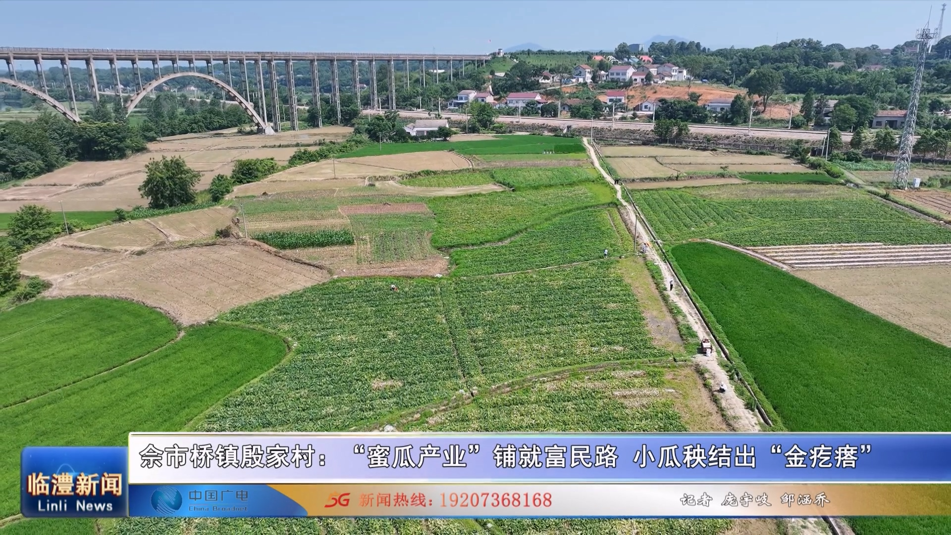 佘市桥镇殷家村：“蜜瓜产业”铺就富民路 小瓜秧结出“金疙瘩”