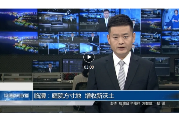 常德新闻联播 | 临澧：庭院方寸地 增收新沃土