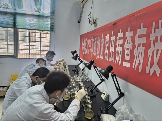 wechat_2025-07-01_091638_889.png