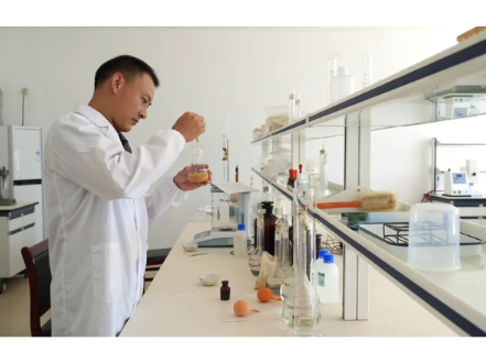 常德日报 | 临澧项目建设蓄能产业升级 县域发展活力持续迸发