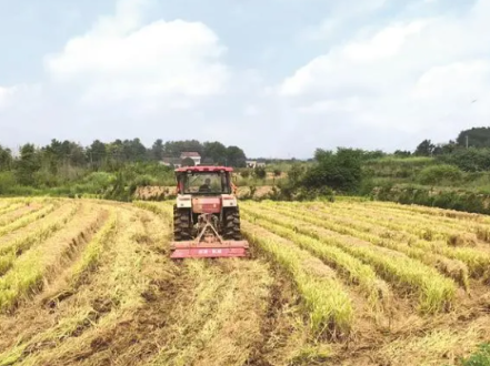 常德日报 | 实干绘就新画卷——临澧县安福街道2025年高质量发展工作纪实