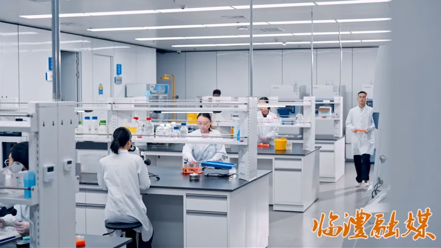 临澧：企业车间“上新”忙 政企赋能促远航