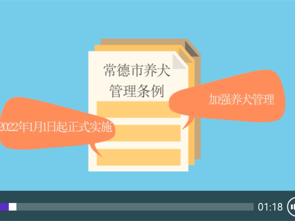 视频解读《常德市养犬管理条例》