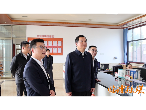 李雨初调研合口镇重点工作
