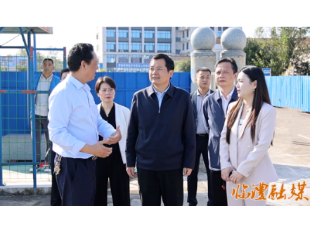 李雨初调研修梅镇重点工作