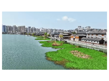 今年，我们不赶时间，只赶平安