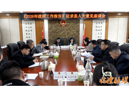 胡彬彬就《2026年政府工作报告》征求县人大代表意见建议