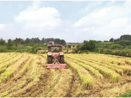 【新思想引领新征程·非凡“十四五”】持续巩固拓展脱贫攻坚成果 扎实推进乡村全面振兴