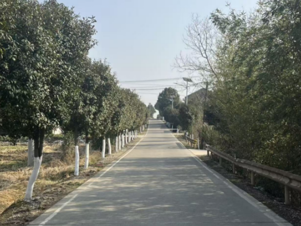 望城街道：深化道路养护建设，铺展“美丽农村路”新画卷