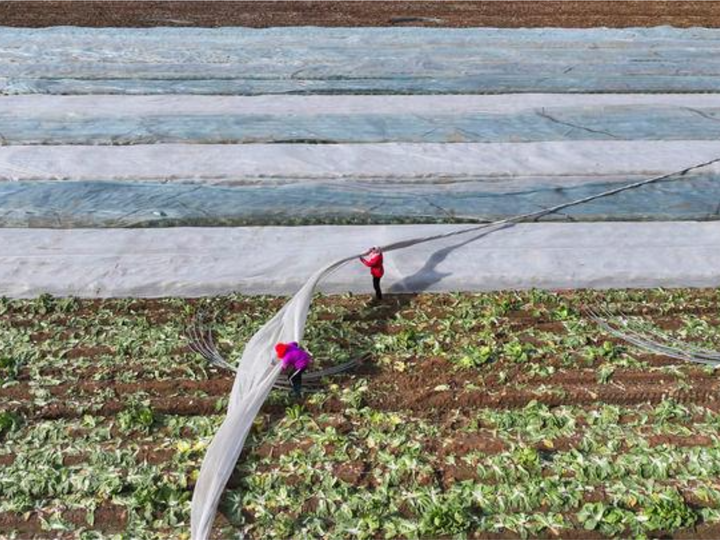 时政微观察丨常态化精准帮扶，这个新部署意义深远