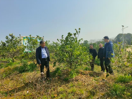 技能培训强本领 田间育出“土专家” ——刻木山乡以技术赋能庭院经济提质增效