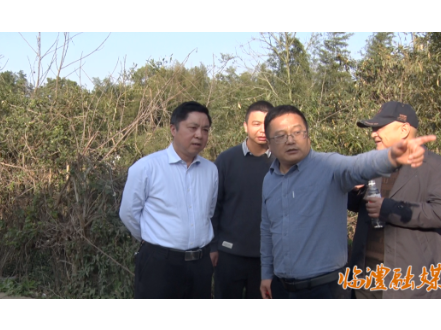 临澧县领导督导宜常高铁临澧段征拆工作