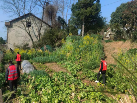 安福街道肖家河社区开展禁种铲毒专项巡查