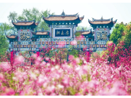 联播+｜“喻”见世界文明的百花园