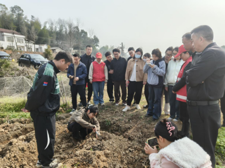 临澧县太浮镇：田间地头学技能 青年干部接地气长才干