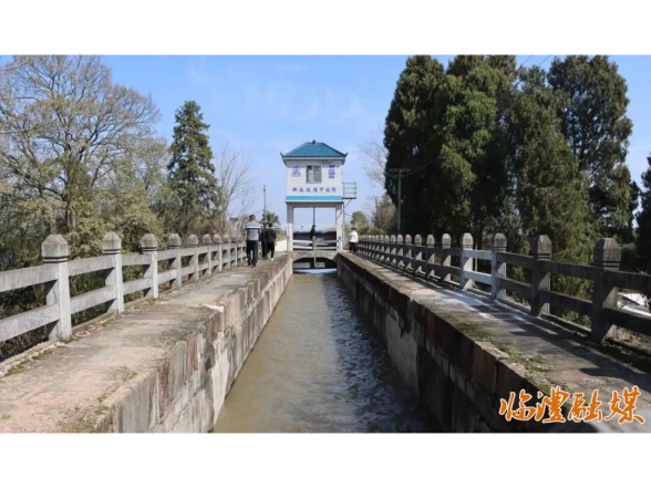 汩汩澧水润沃野 青山灌区春灌工作正式启动