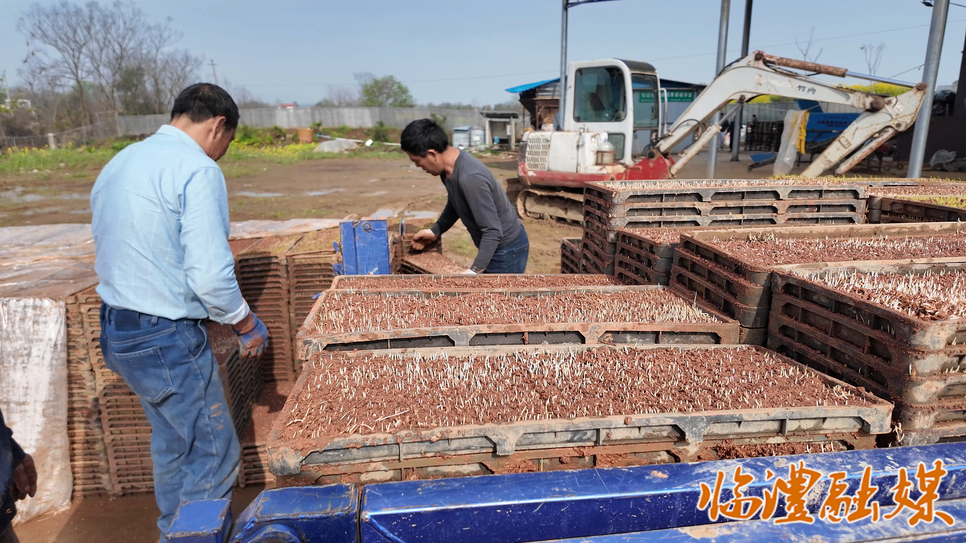 微信图片_2026-03-26_174310_928.png 微信图片_2026-03-26_174310_928.png