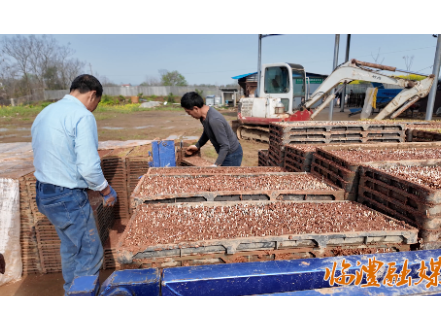 临澧：物资足农机忙 不负春光种好粮