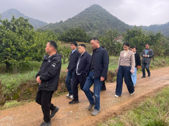 常德市审计局帮扶协调组赴停弦渡镇月星村调研乡村振兴帮扶工作 共绘乡村发展新蓝图