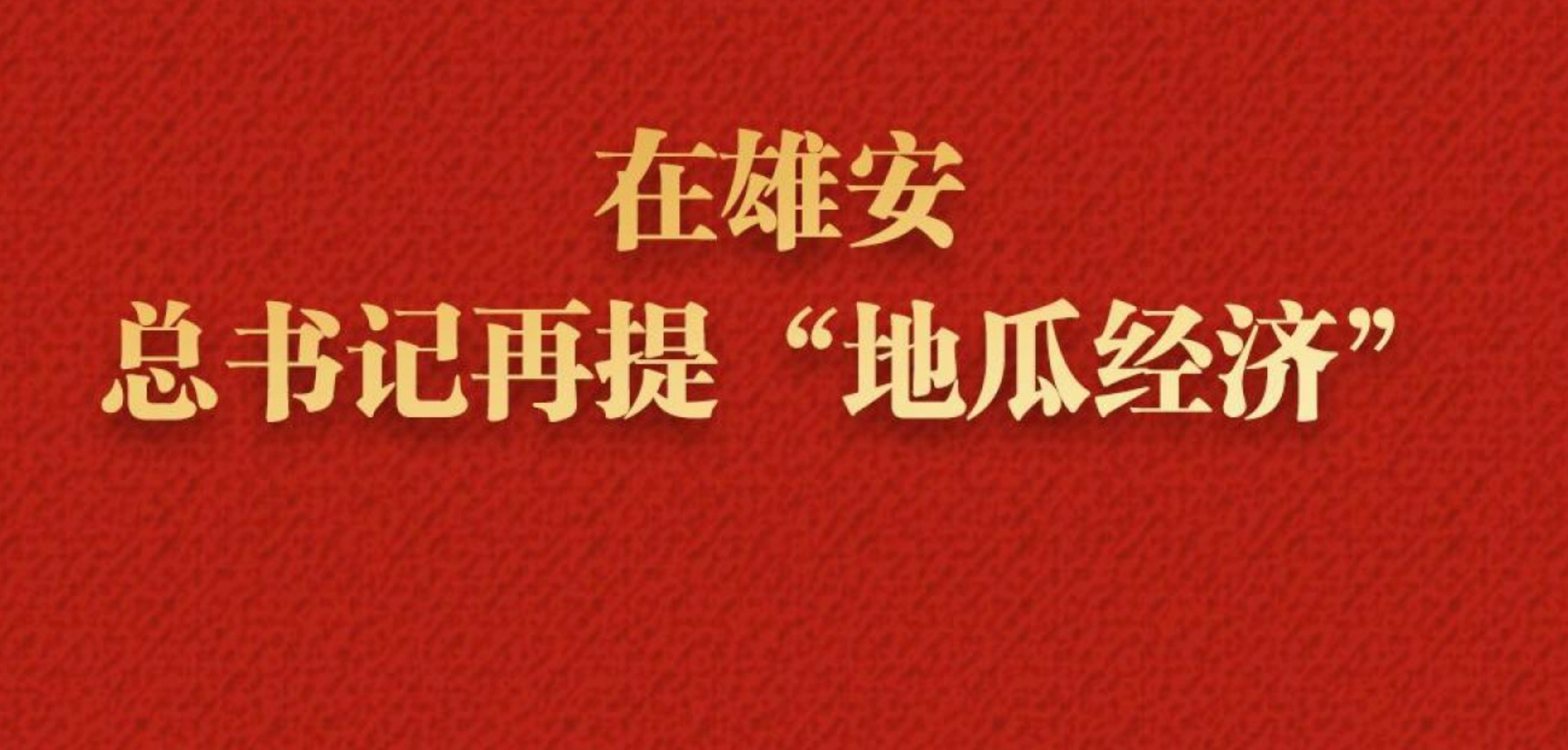近镜头｜在雄安，总书记再提“地瓜经济