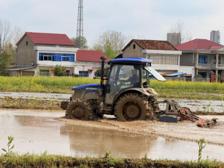 安福街道芭蕉社区：抢抓雨歇助春耕 精准服务守护粮食安全