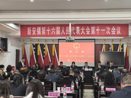 临澧县新安镇第十六届人民代表大会第十一次会议召开