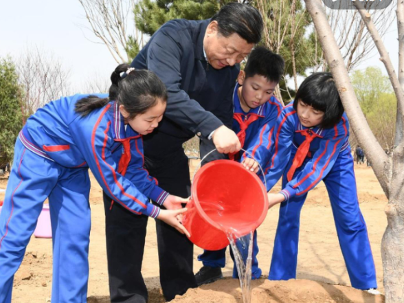 	习言道｜习近平种下“栋梁之材”