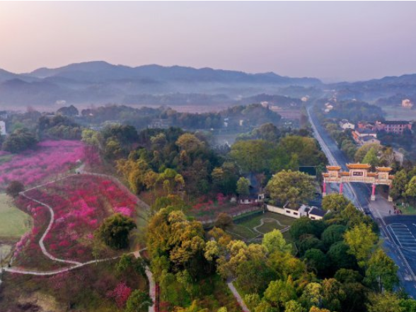 微视频｜为美丽中国增绿添彩